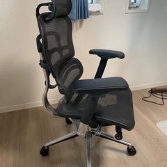 最終値下げ　エルゴヒューマンベーシックの画像