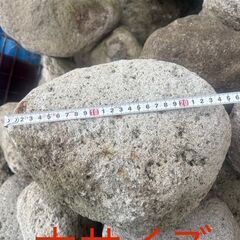 軽石 大1000円 小500円