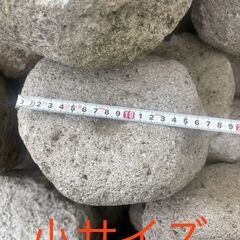 軽石 大1000円 小500円の画像