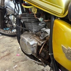 ボルティー250 GN仕様　実働の画像