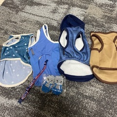 犬服、首輪、靴下6点まとめて。の画像