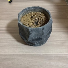植木鉢