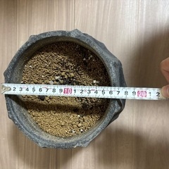 植木鉢の画像