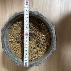 植木鉢の画像