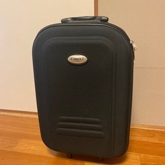 黒のキャリーバッグ、スーツケース、機内サイズ？