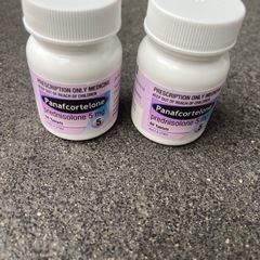 panafcortelone 5mg
