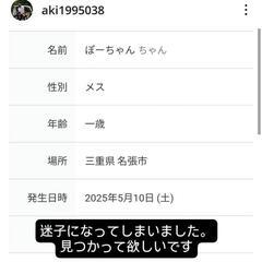 オカメインコが迷子になりました - 名張市
