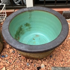 睡蓮鉢