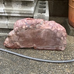 庭石の画像