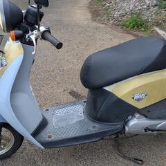 ホンダ　トゥデイ　4スト　AF61 原付　50cc  の画像
