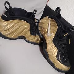 (希少カラー)NIKE AIR Foamposite Pro26.5