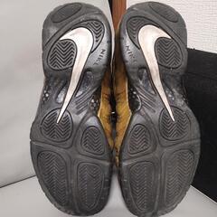 (希少カラー)NIKE AIR Foamposite Pro26.5の画像