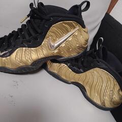 (希少カラー)NIKE AIR Foamposite Pro26.5の画像