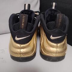 (希少カラー)NIKE AIR Foamposite Pro26.5の画像