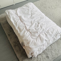 ニトリ Nウォーム 掛け布団 S2枚