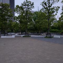 障碍者の皆さん淀橋さくら公園で涼みながら雑談しませんか？ - 新宿区