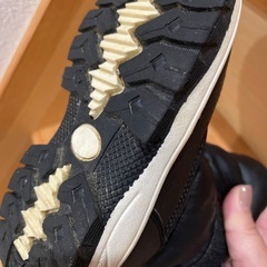 15cmの画像
