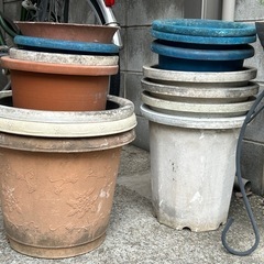 鉢多数