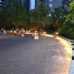 障碍者の皆さん淀橋さくら公園で涼みながら雑談しませんか？ − 東京都