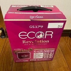 GSユアサ ER K-42R / 50B19R ECO.R Re...