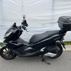 PCX125 JF81 19年新車購入 3,500km ワンオー...