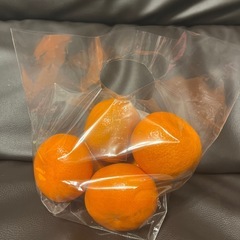 手で皮がむけるオレンジ　トルコ産の画像