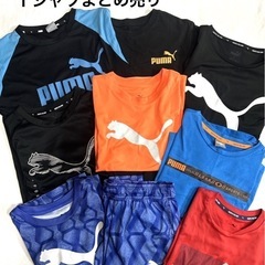 PUMA Tシャツまとめ売り　140サイズ