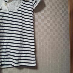 襟元レース風ボーダーTシャツの画像