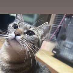 小さな大人の女の子☺️