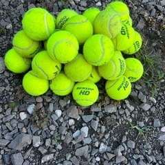 🎾火曜日🎾硬式テニス🎾 - スポーツ