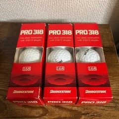 ブリジストンPRO318