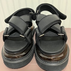 HARE クロスシャークサンダルM