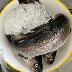 釣りしませんか？