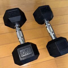 ダンベル10kg * 2個