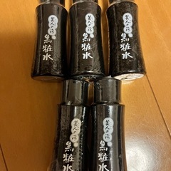 【新品】化粧水 5本 黒粧水 ていねい通販
