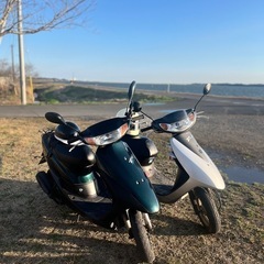 左のディオの画像