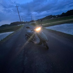 左のディオの画像