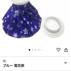 新品 スプレー付き氷嚢の画像