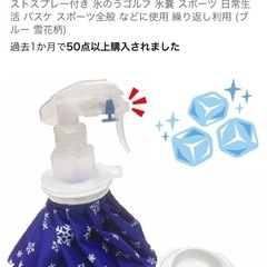 新品 スプレー付き氷嚢の画像