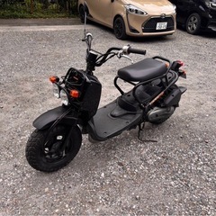 ホンダ　ズーマー　原付　50cc 通勤　通学　の画像