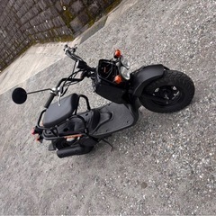 ホンダ　ズーマー　原付　50cc 通勤　通学　の画像