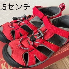 【美品】
keen/キッズ　サンダル　22.5センチ 