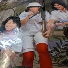 （中古LPレコード）キャンディーズ・ヒット全曲集の画像