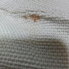 Sサイズ　難あり　未着用の画像