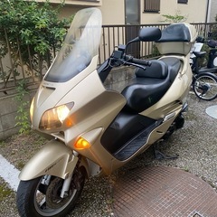 上位グレードmf06フォルツァ‼️希少色‼️
