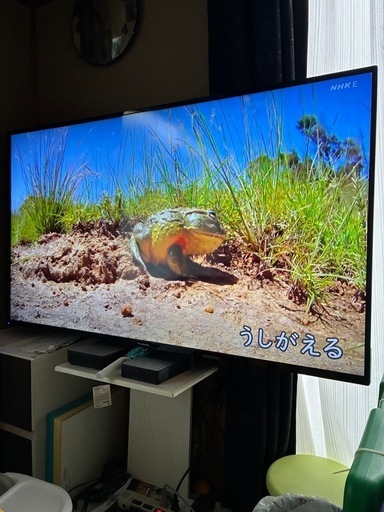 ?FUNAI  FL-55U3130テレビスタンド装着✨    