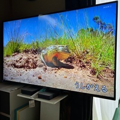 🌈FUNAI  FL-55U3130テレビスタンド装着✨    の画像