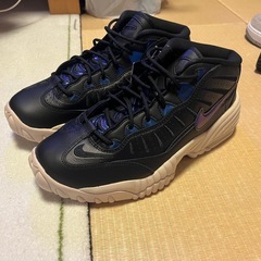 新品❗️タグ付き❗️Nike Women's Air Adjust Force 2023 "Black and Vivid Purple" ナイキ ウィメンズ エアアジャストフォース 2023 "ブラック アンド ヴィヴィッドパープル"の画像