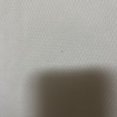 adidas 白　半袖の画像