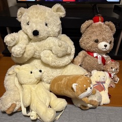 クマのぬいぐるみ5点＆柴犬ぬいぐるみセット 引き取りに来てくれる...